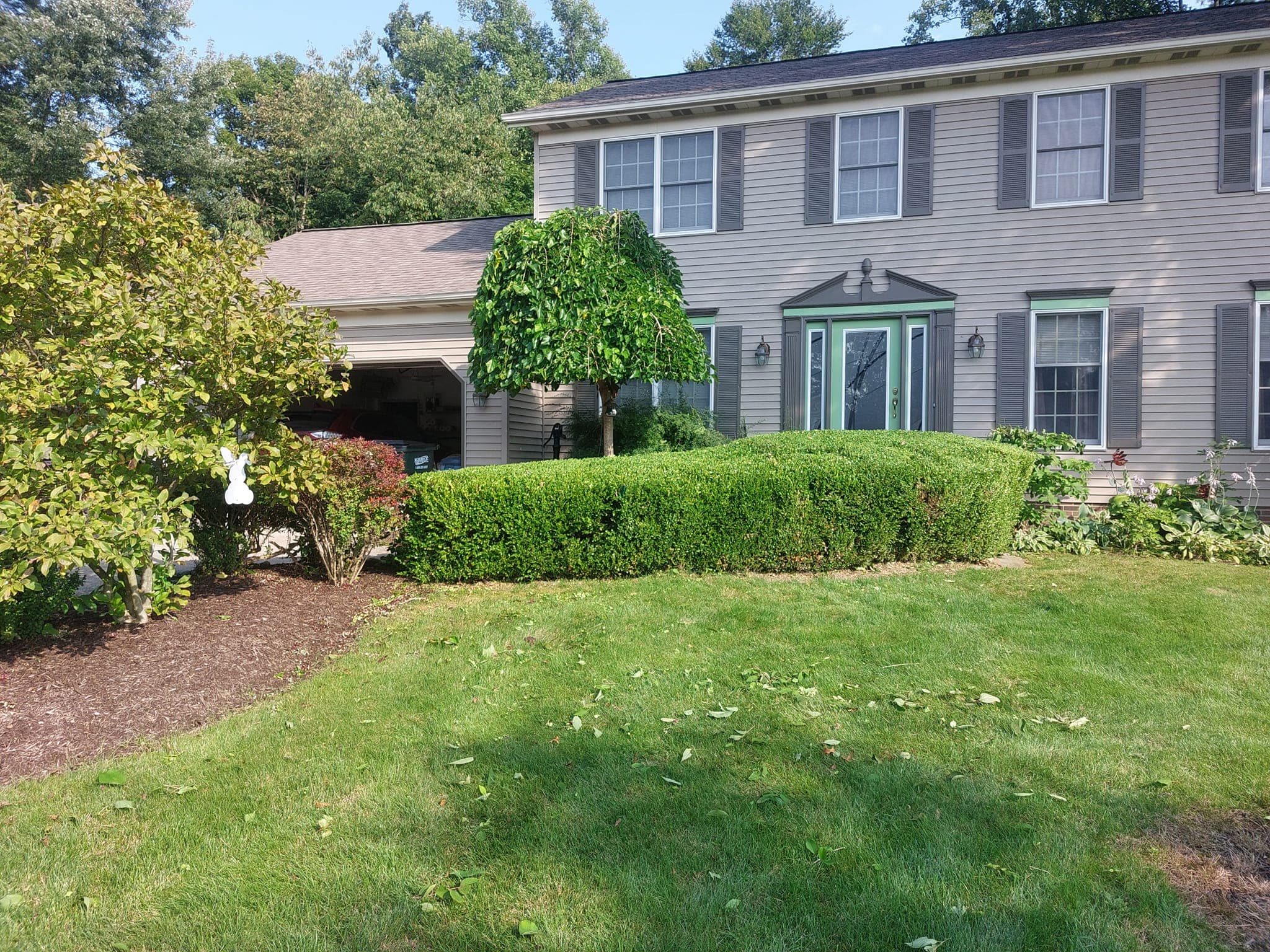 Manicured yard